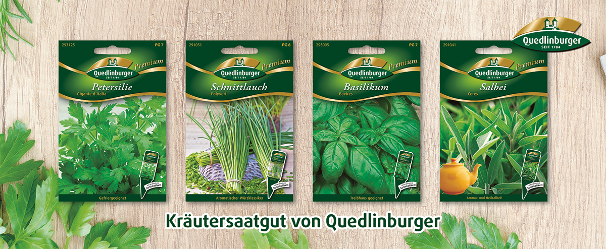 Quedlinburger Kräutersaatgut