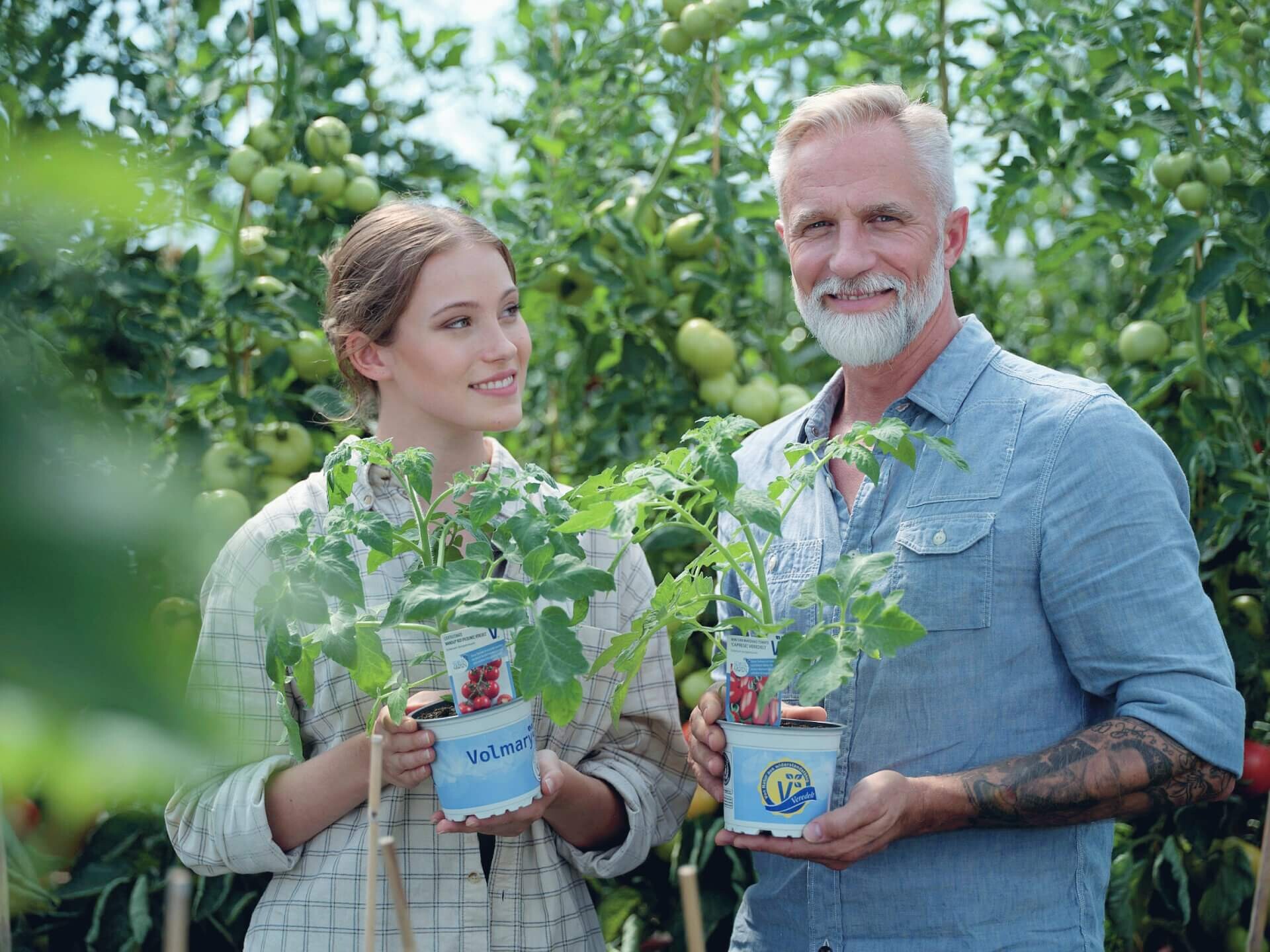 Zwei Personen halten zwei Tomatenpflanzen
