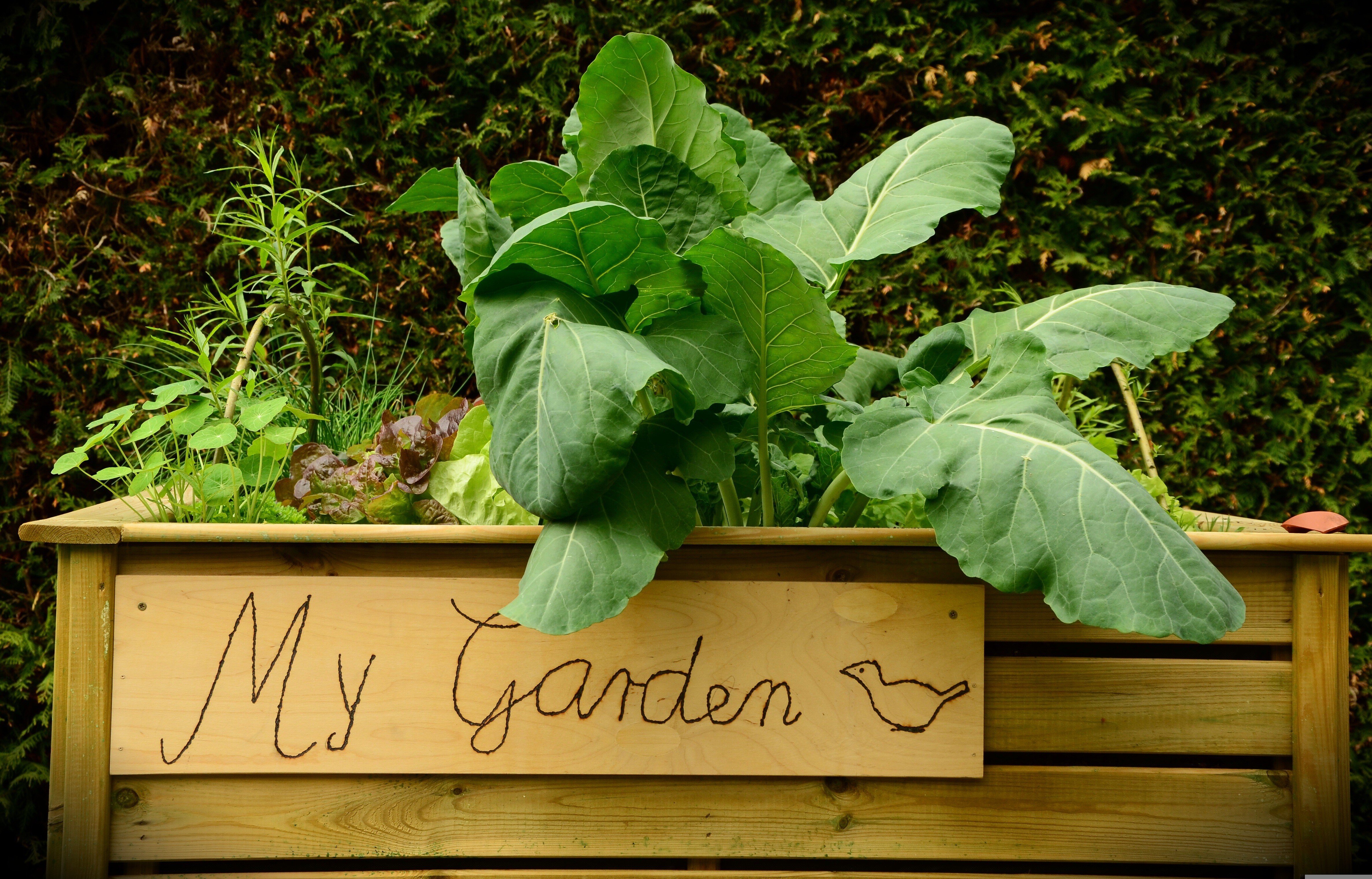 Hochbeet mit der Aufschrift "Mein Garten"