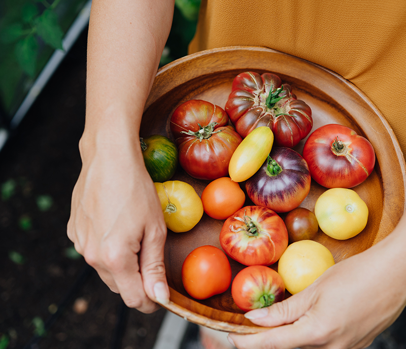 Schale mit bunten Tomaten