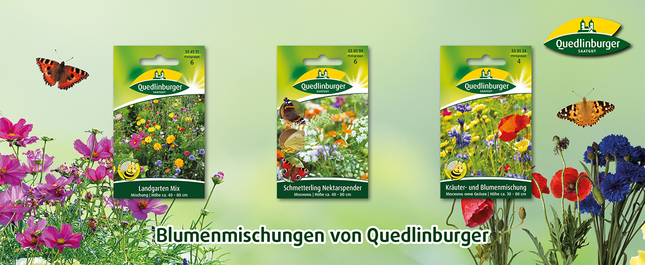 Verschiedene Quedlinburger Saatgutmischungen