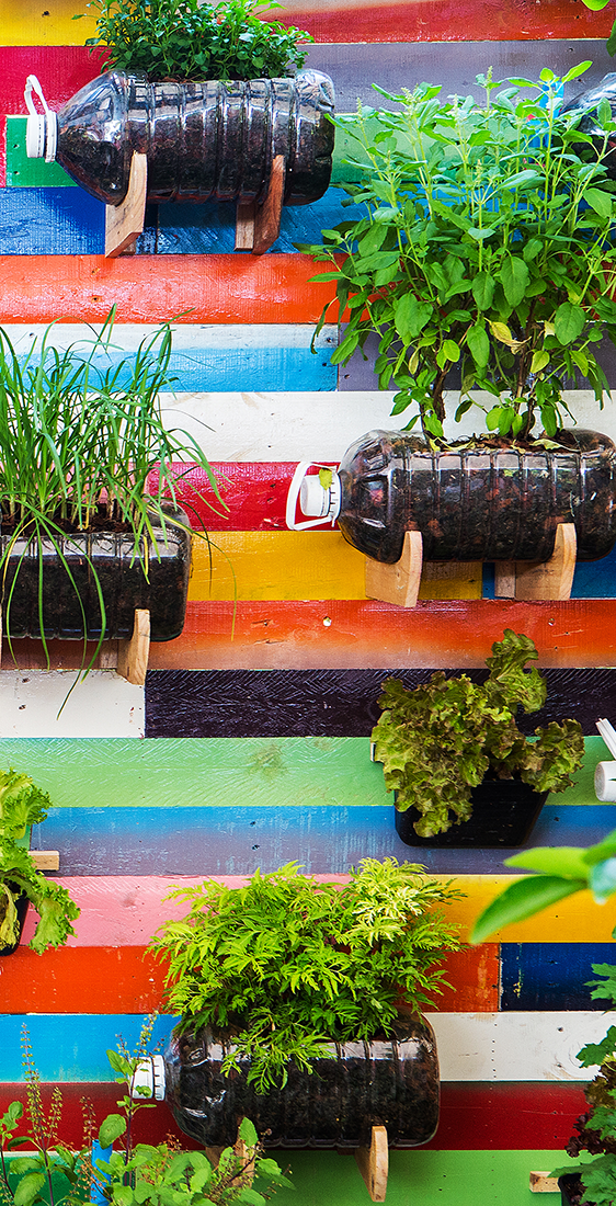 Vertical Garden mit bepflanzten Plastikflaschen