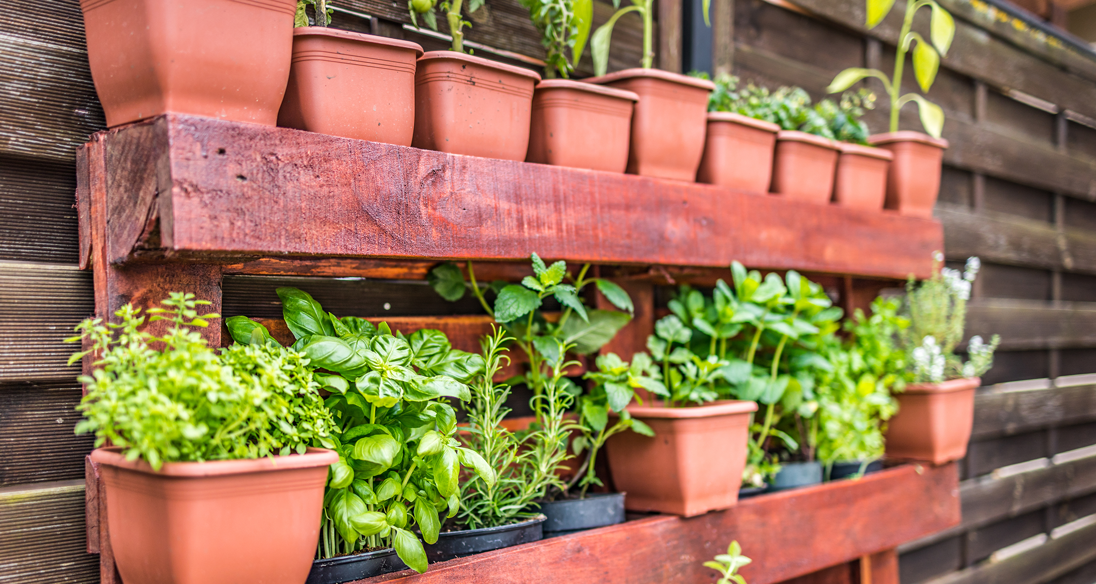 Vertical Garden mit bepflanzten Tontöpfen