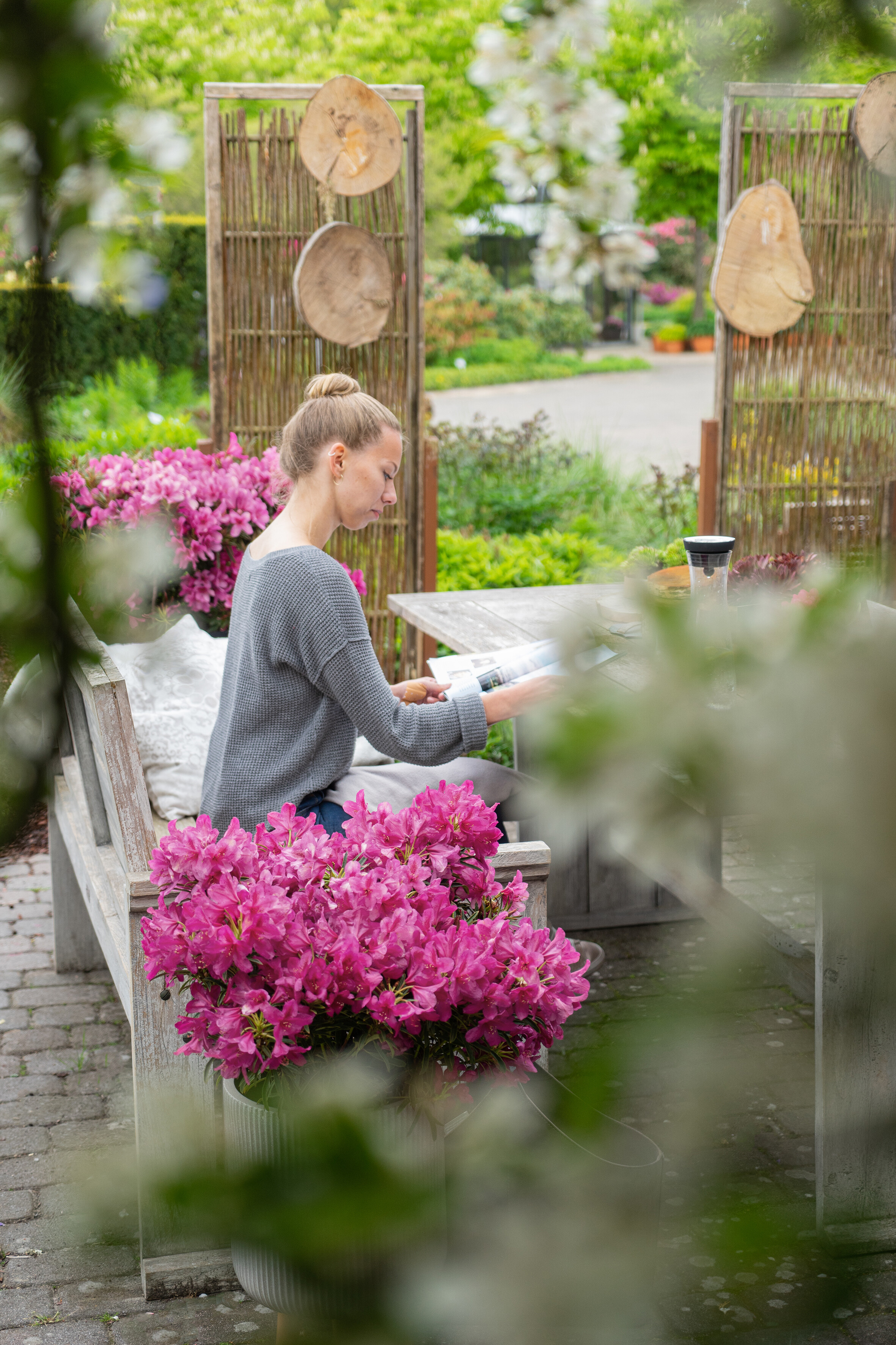 Frau sitzt vor pinken Rhododendron