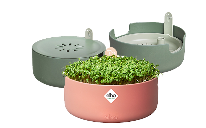 Anzuchtschale Macig Microgreens von Elho