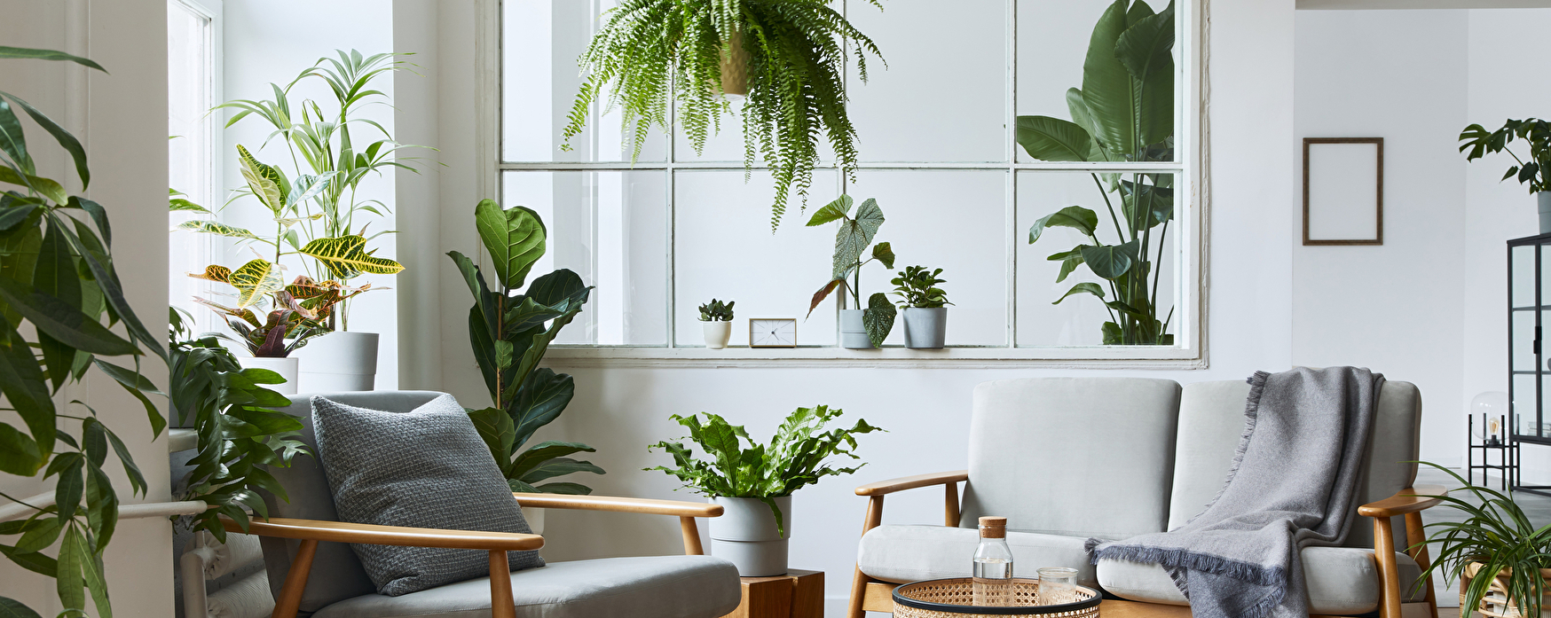 Zimmer mit grünen Pflanzen