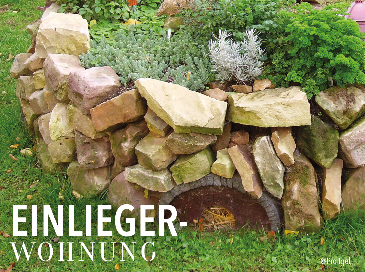 Igelhaus aus Stein im Garten mit der Aufschrift "Einliegerwohnung"