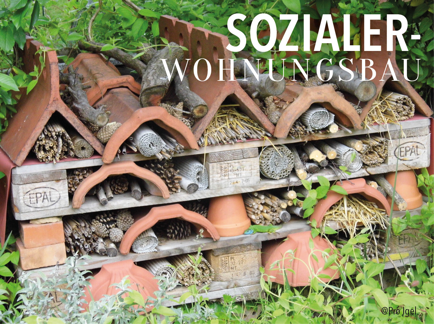 Gebilde aus Tontöpfen und Holz mit der Aufschrift "Sozialer Wohnungsbau"