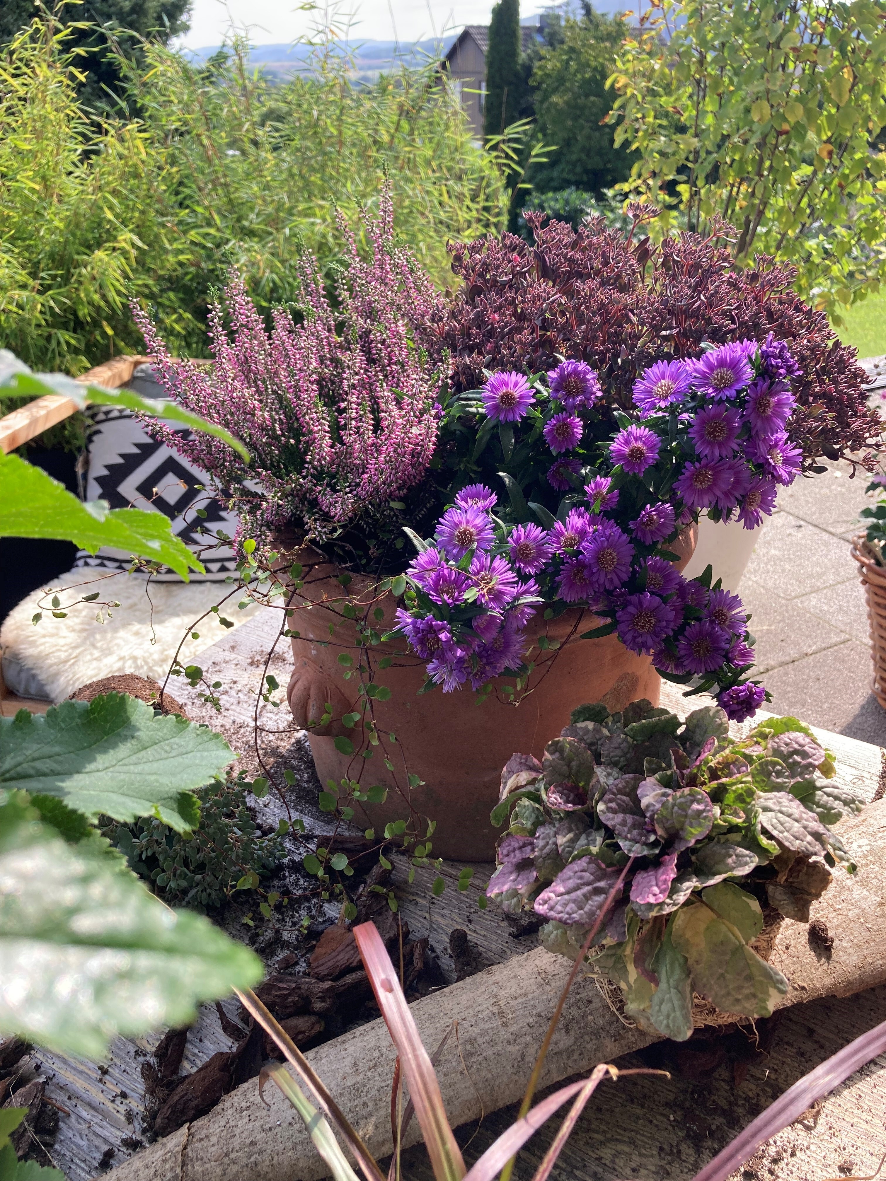 Tontopf mit Blumen
