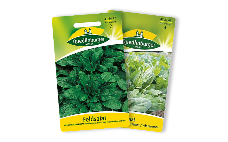 Quedlinburger Feldsalat und Spinat