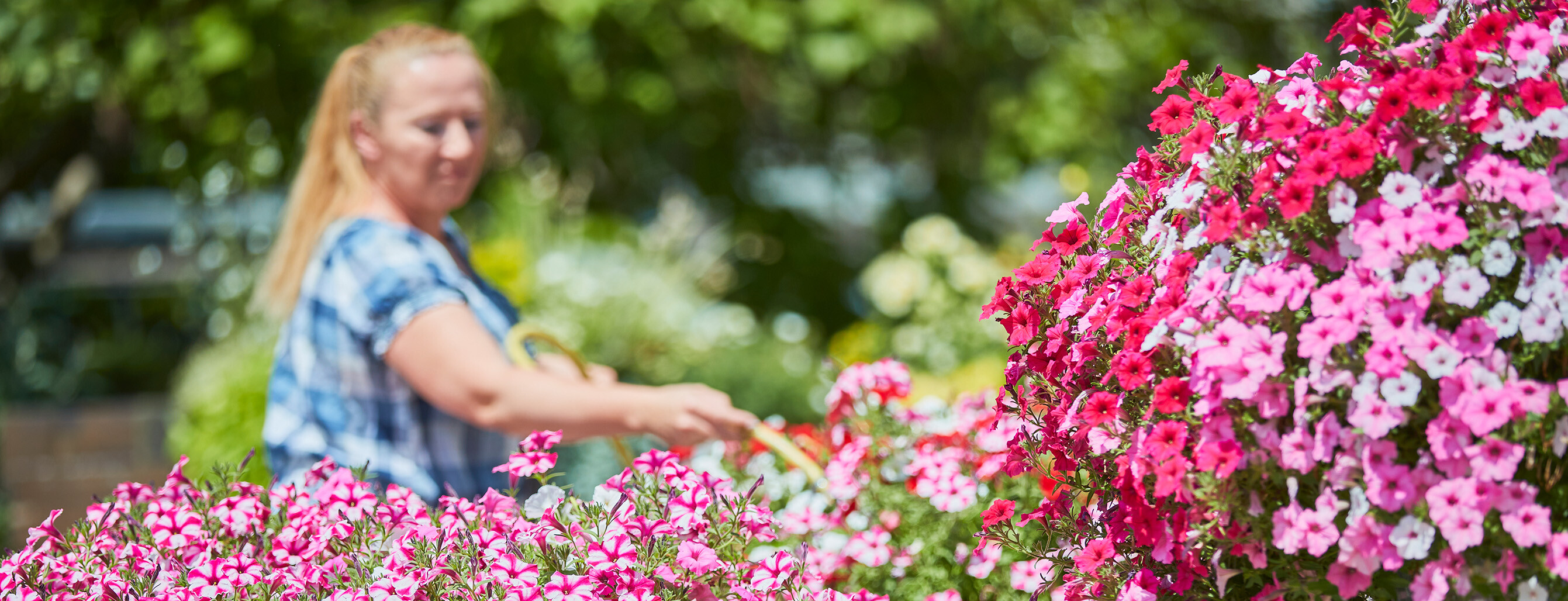 Bunte Blumen im Garten mit einer Frau im Hintergrund