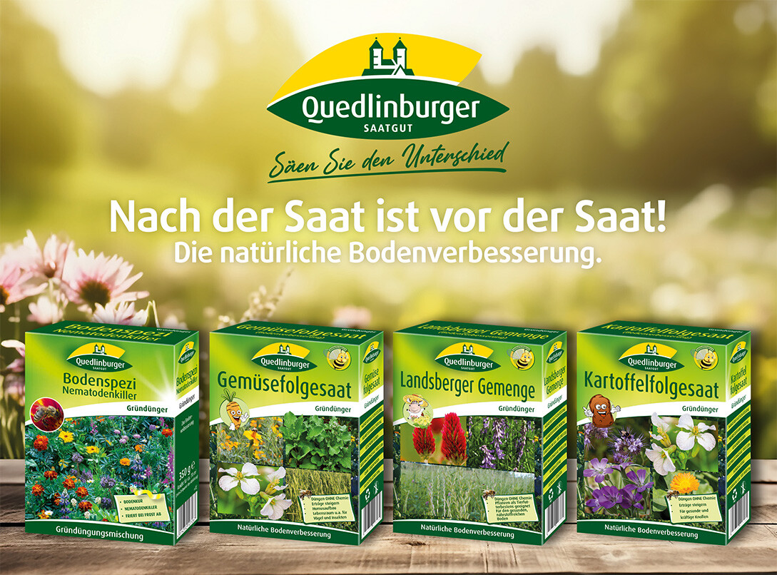 Werbung für verschieden Saatangebote von Quedlinburger