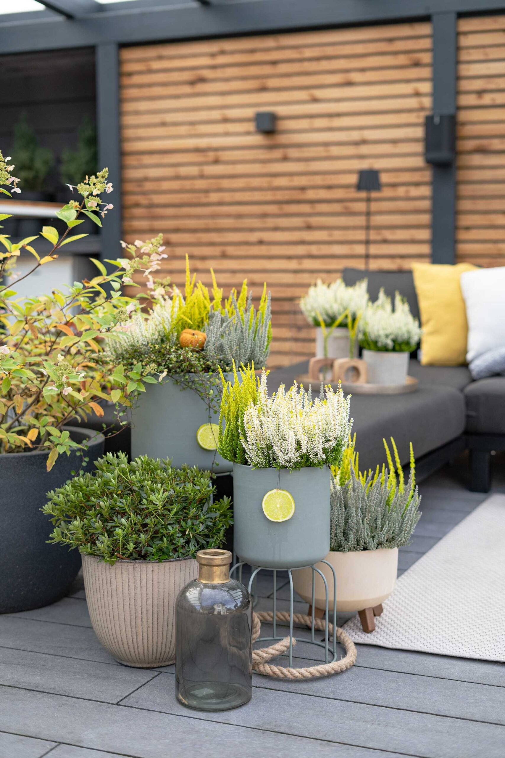 Heide Arrangements auf Balkon