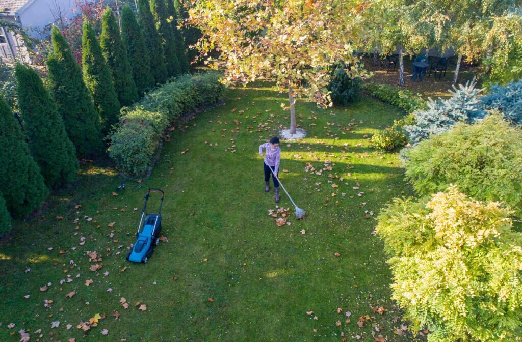 Rasenpflege im Herbst