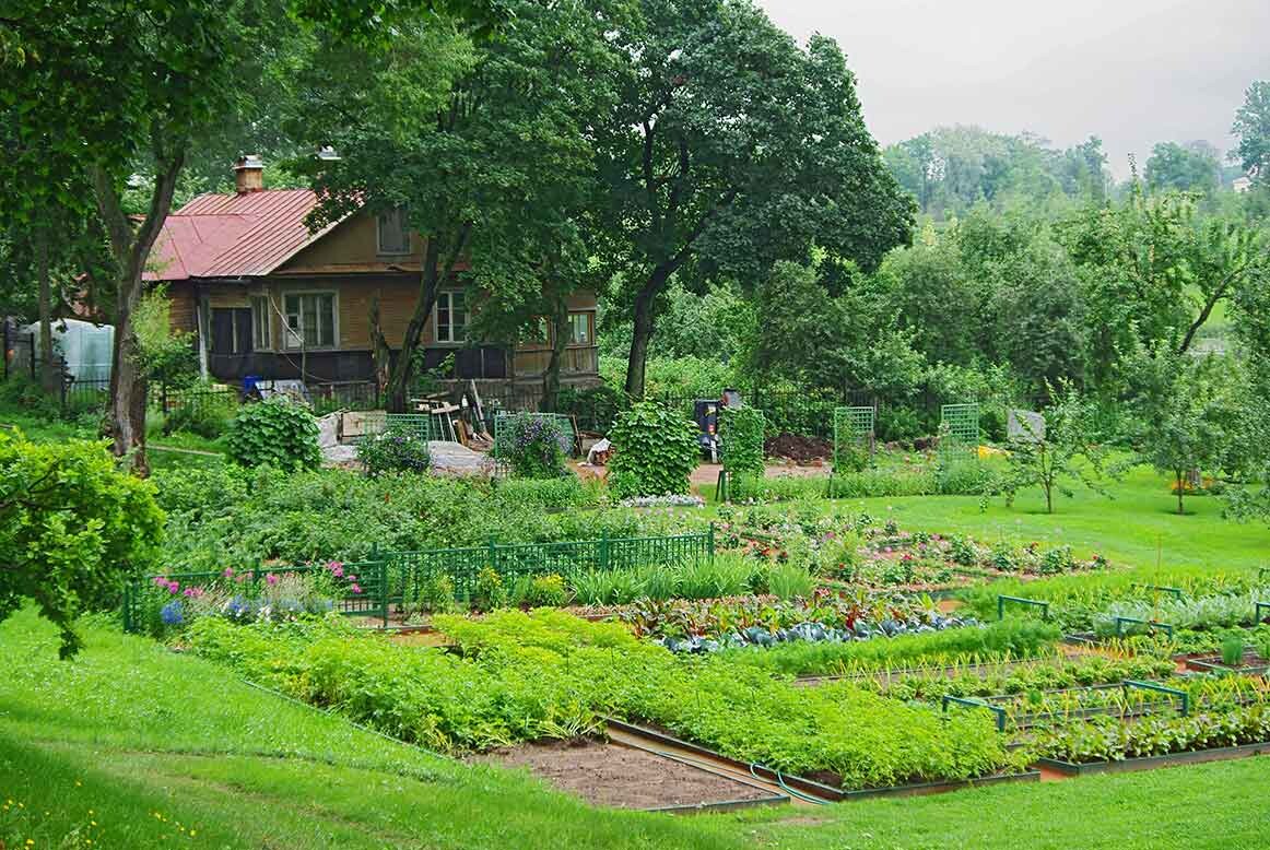 Der Garten hinterm Haus