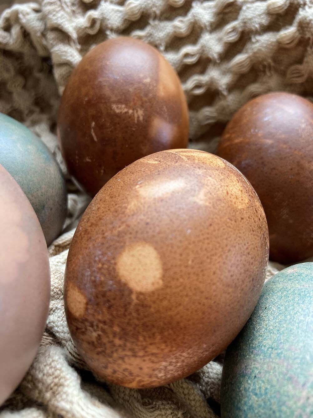 Mit Naturmaterialien gefärbte Ostereier