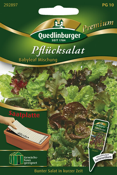 Quedlinburger Pflücksalat Babyleaf