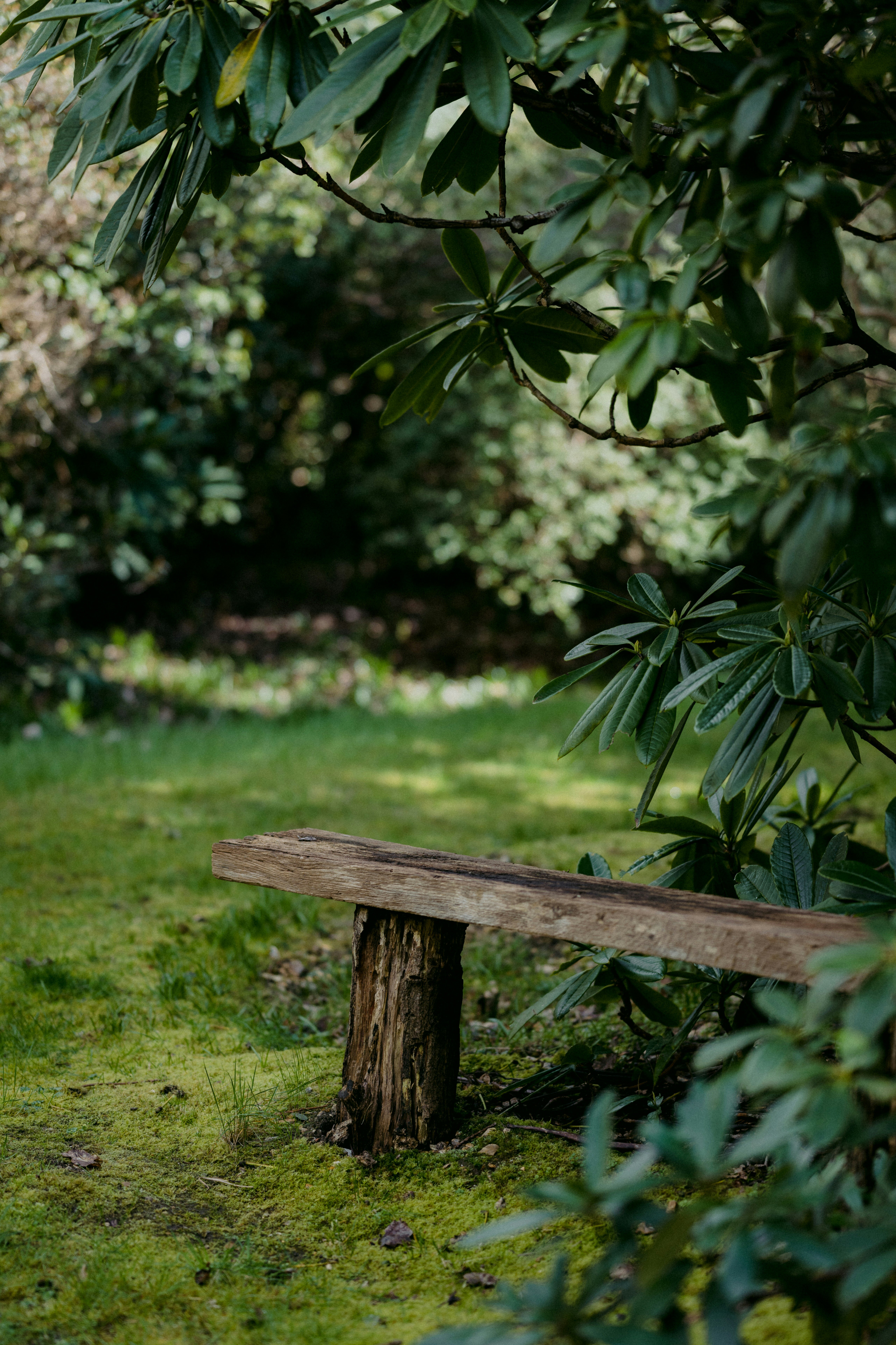 Gartenbank im Obstgarten