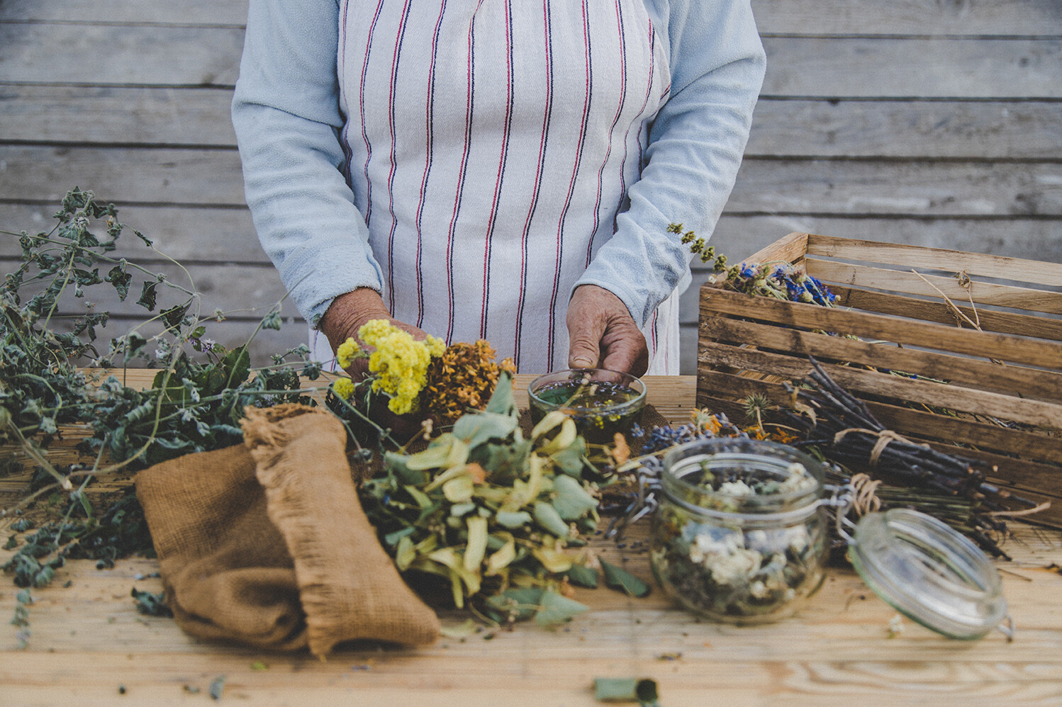 Garten Apotheke