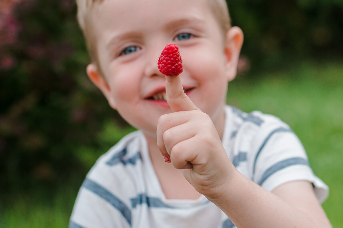Junge mit Himbeeren