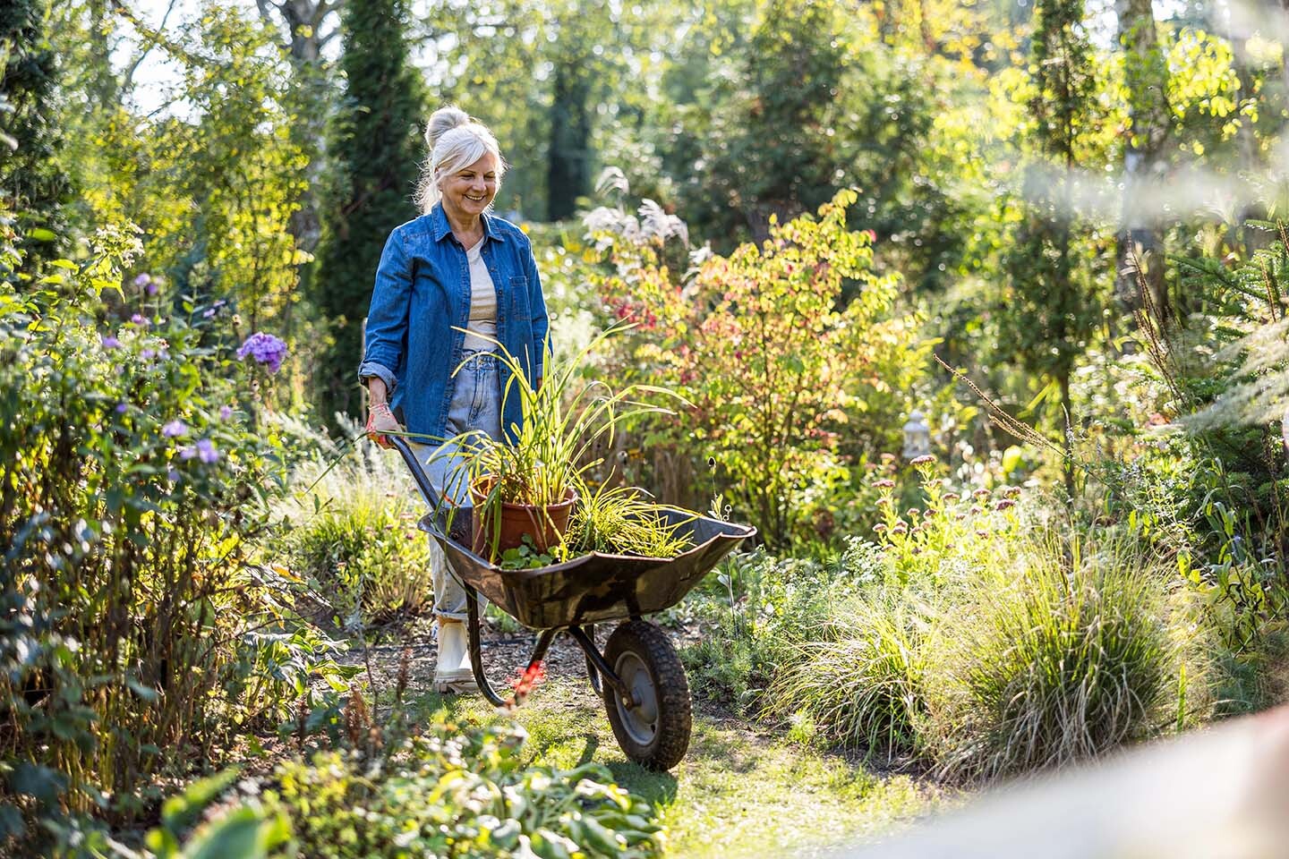 Schubkarre Garten Frau