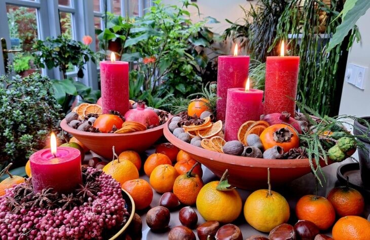 Gartenkalender Dezember