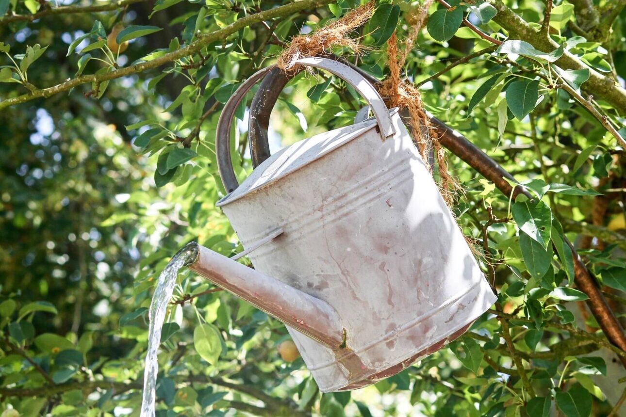 Garten im Juni - Gießkanne im Baum