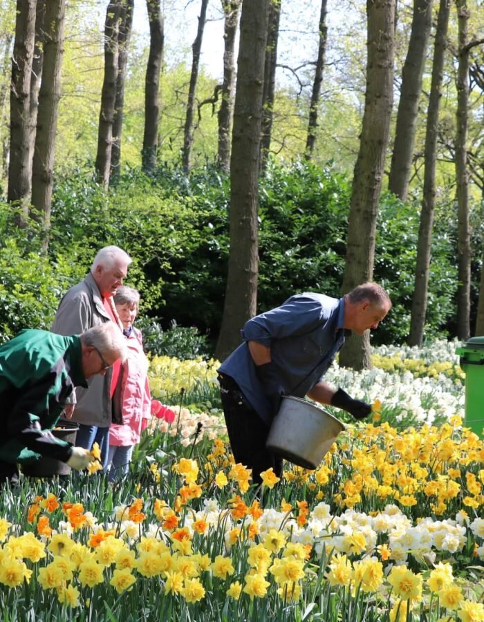 Frühlingsblüten pflücken