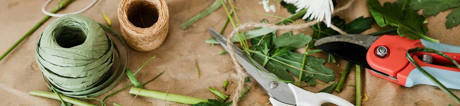 DIY Garten Ratgeber