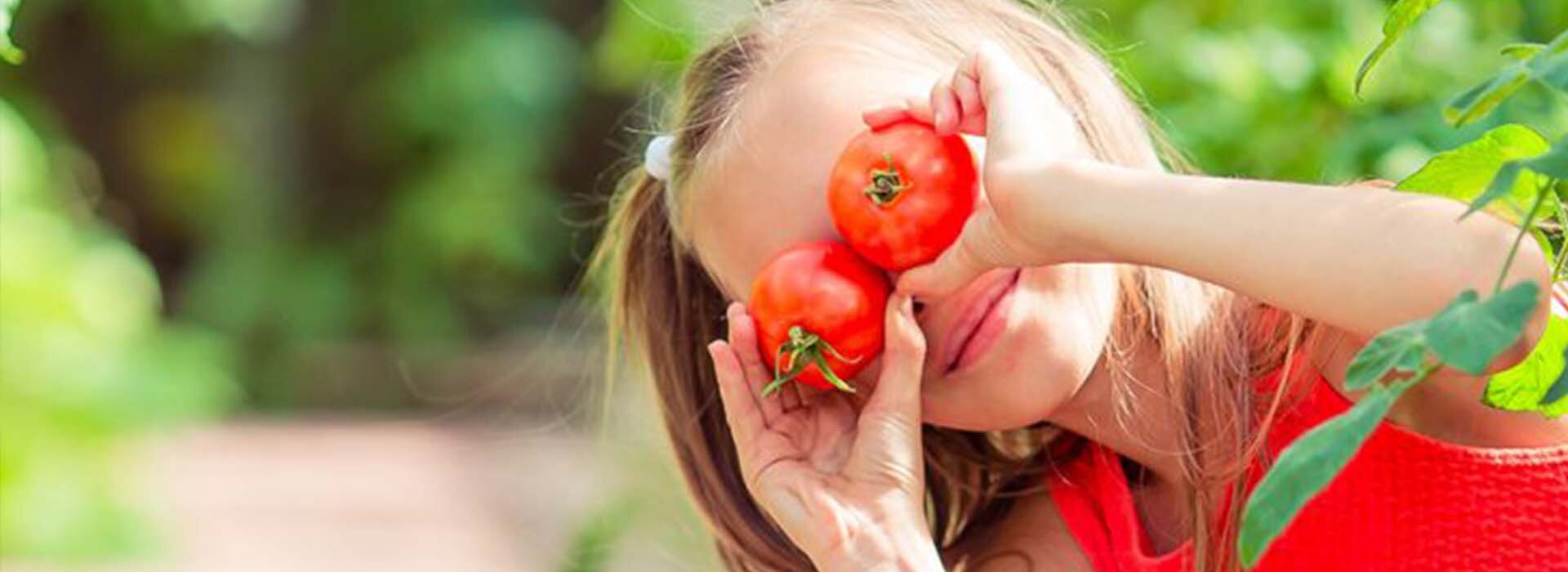 Obst, Gemüse und Kräuter Ratgeber
