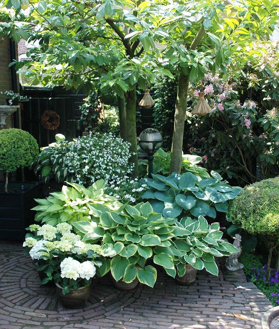 Schattengarten