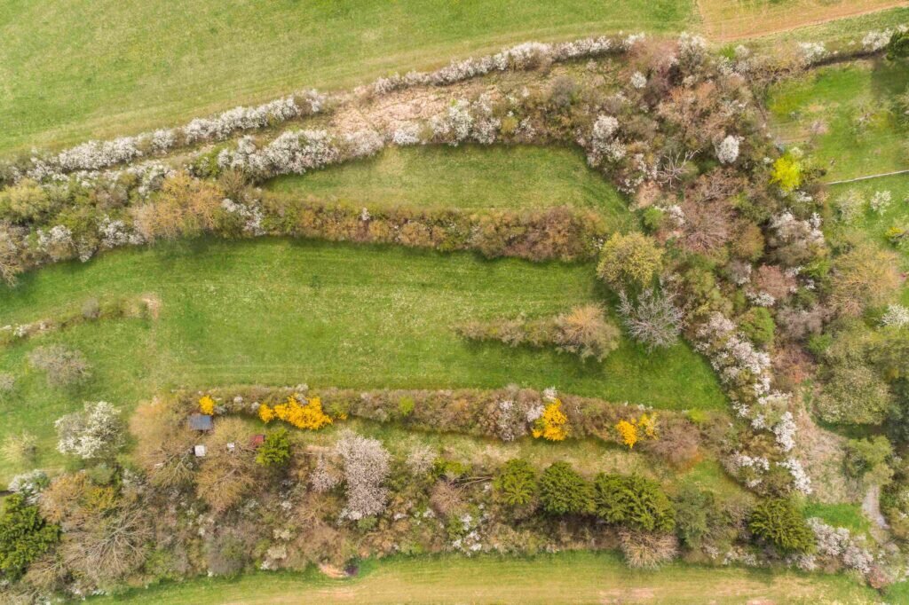 Naturgarten mit Steinhecken