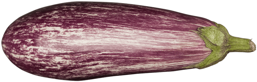 Aubergine