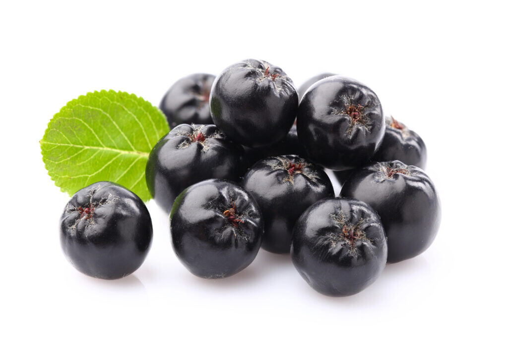 Aronia
